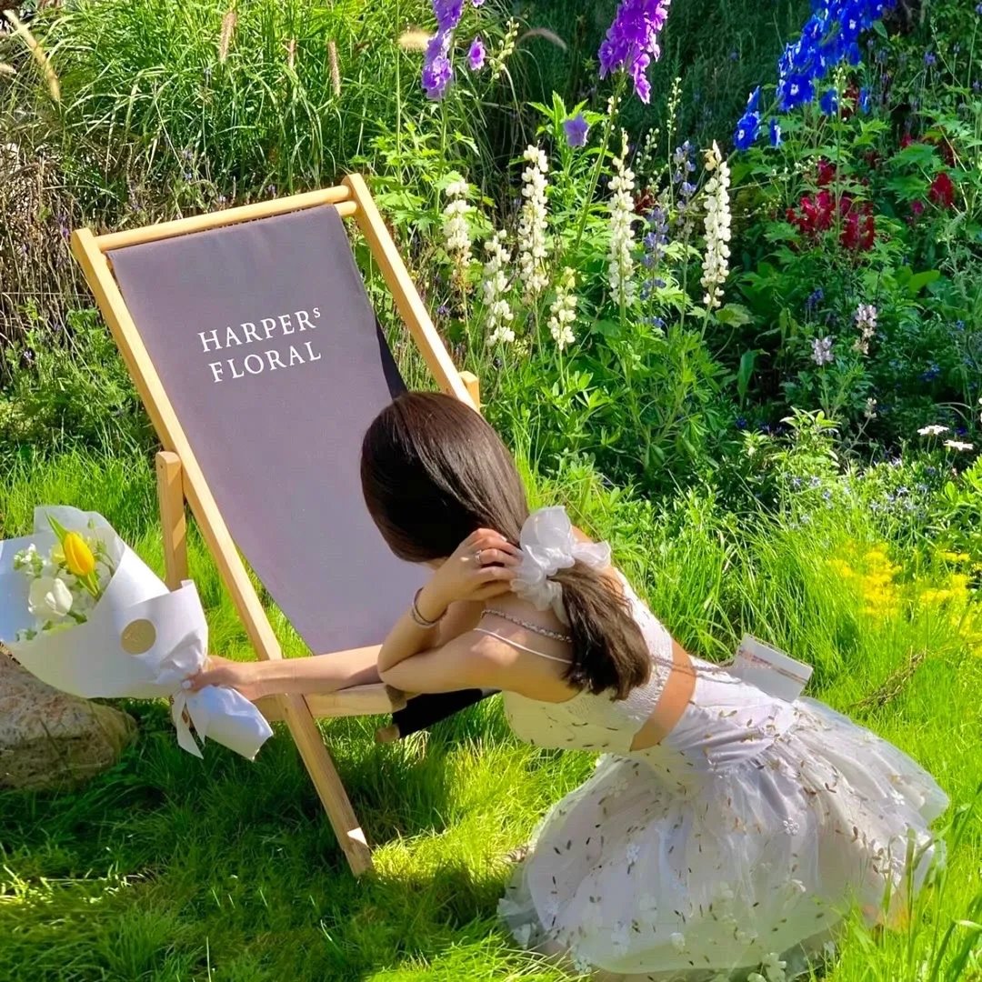 绝望主妇第六季